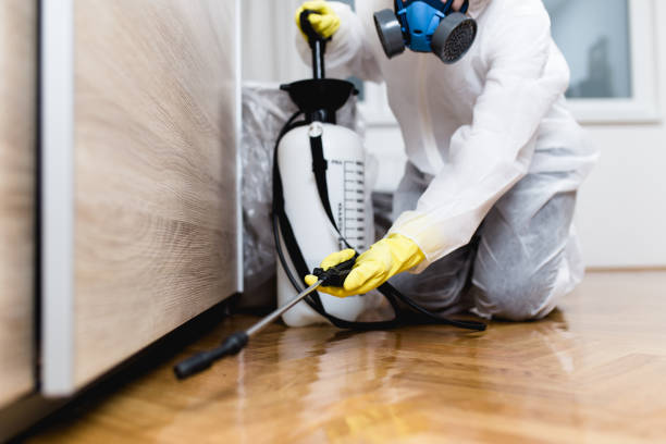 Best Bed Bug Extermination  in Turners Falls, MA