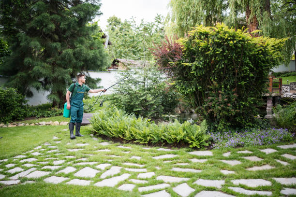 Best Mosquito Control Services  in Turners Falls, MA