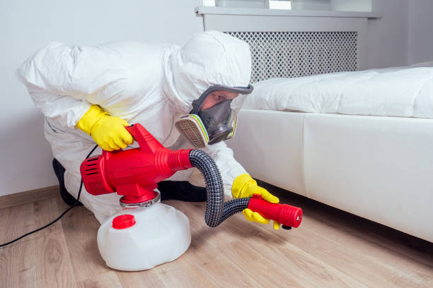 Best Best Pest Control Companies  in Turners Falls, MA