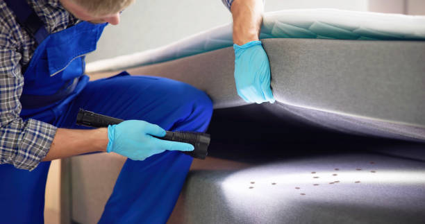 Best Exterminator Services  in Turners Falls, MA